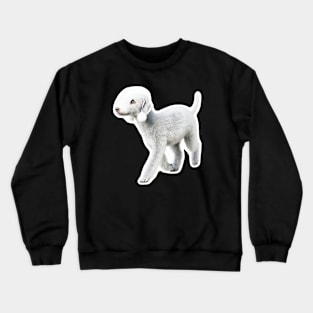 Bedlington Terrier Crewneck Sweatshirt